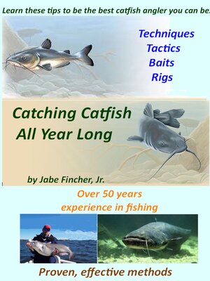 cover image of Catching Catfish All Year Long